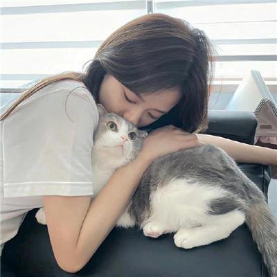 诚实的黄先生